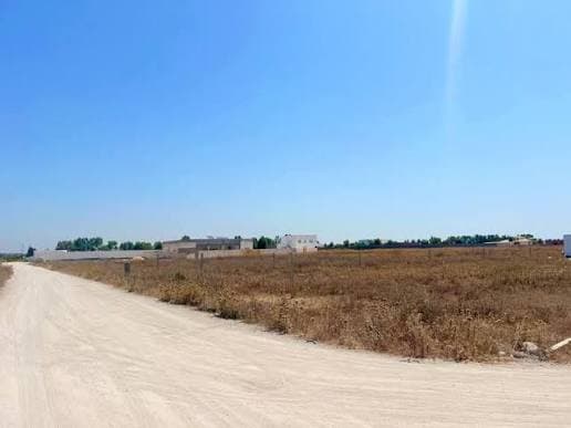 أرض في السلوم - بوفيشة للبيع