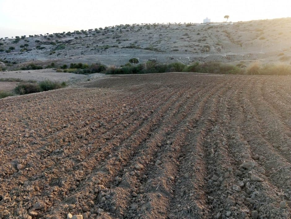 Terrain à bâtir - Nabeul